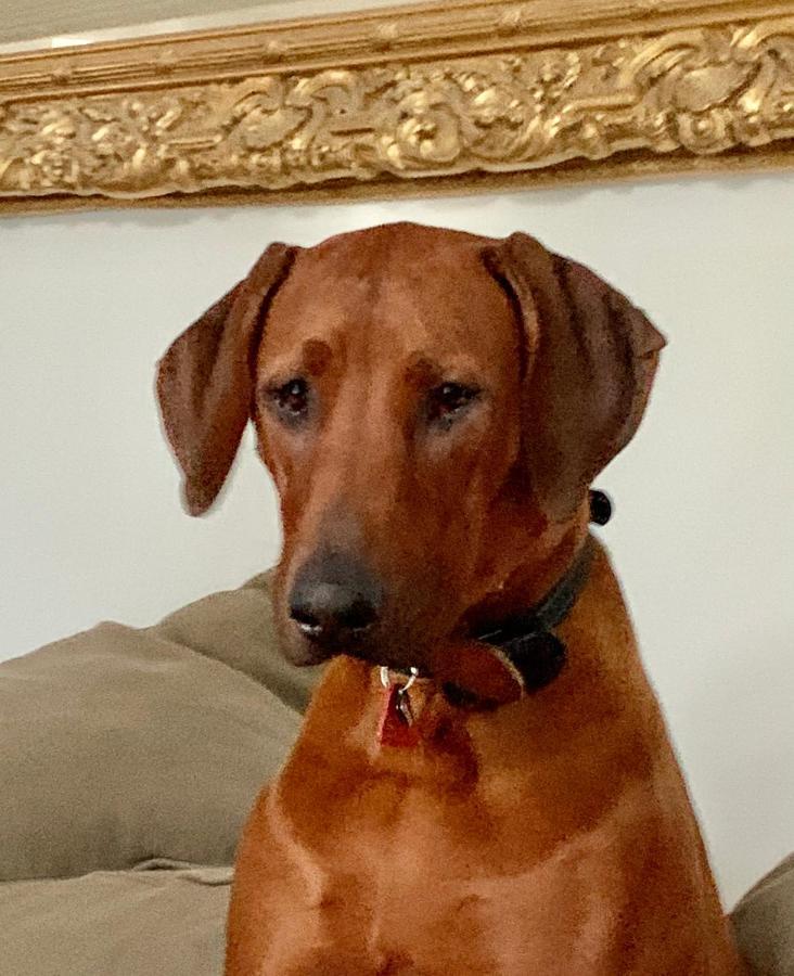 Mont-blanc Apartment *